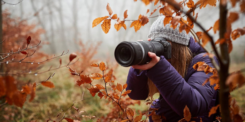 Photographer DB - Photographers Photographer DB - Photographers